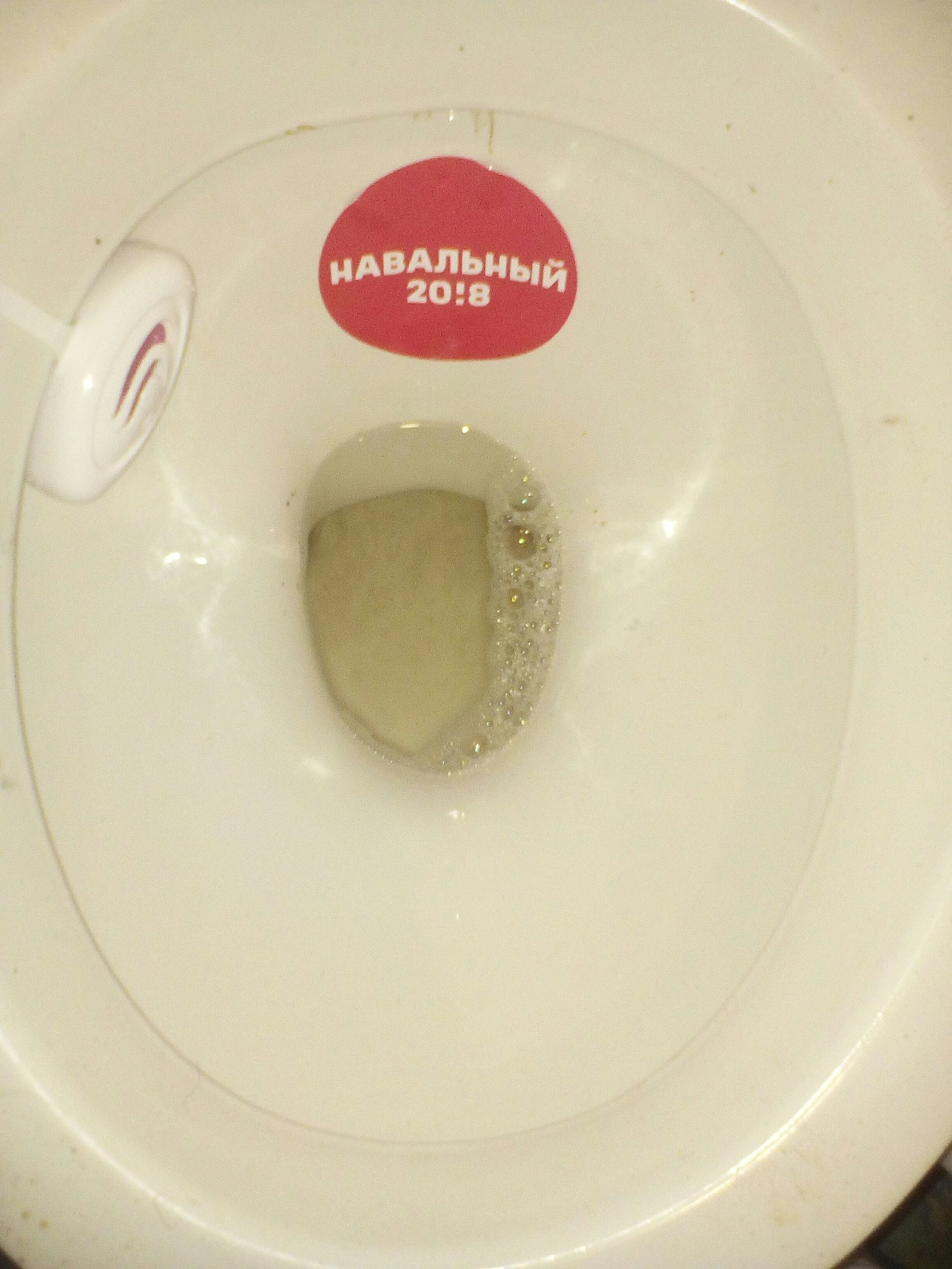 Suddenly, in the toilet, in one of the malls in my city... - Humor, Alexey Navalny, Elections, Toilet