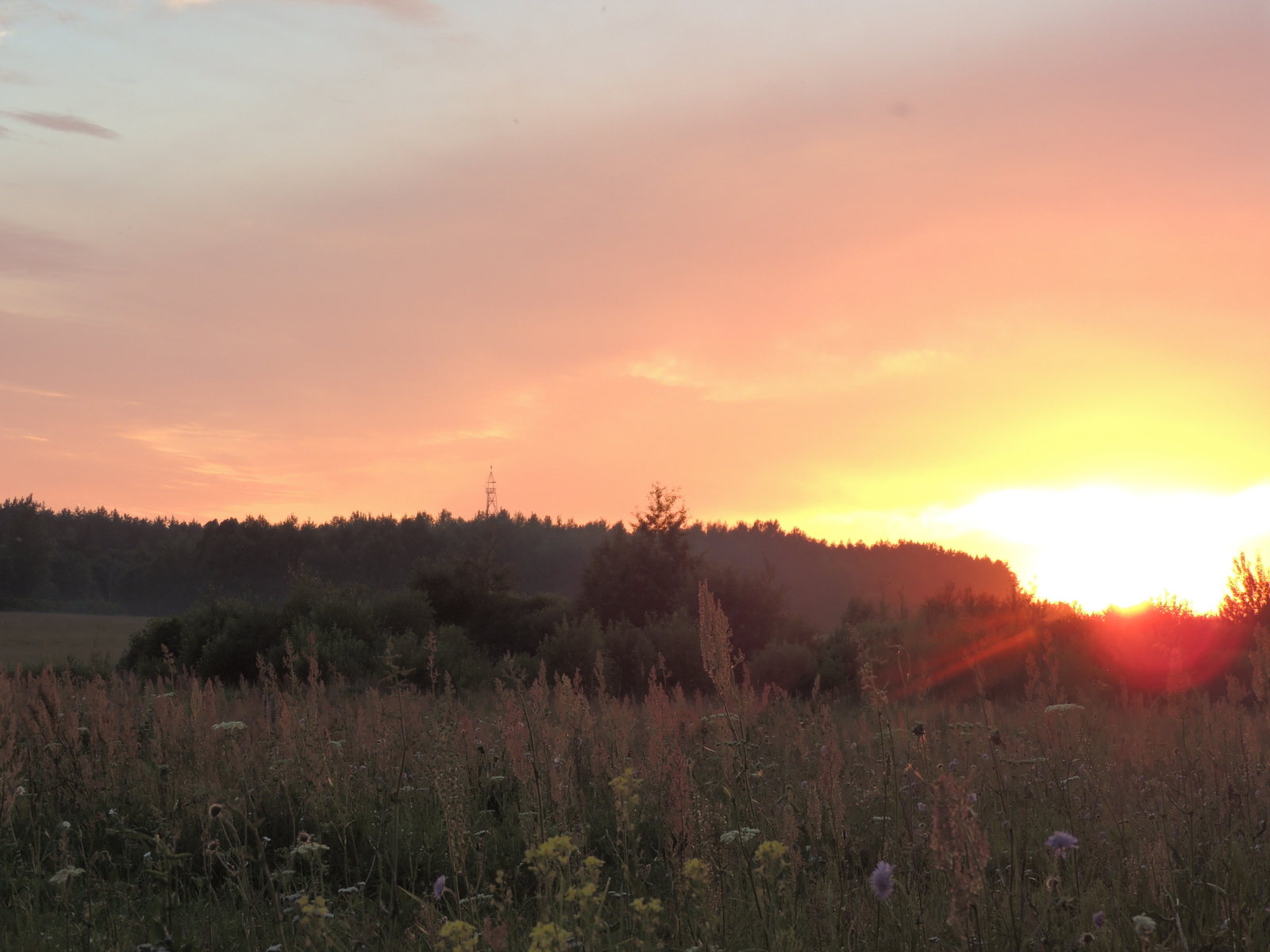 Belarusian hinterland. - My, Nature, Landscape, beauty, Potato, The photo