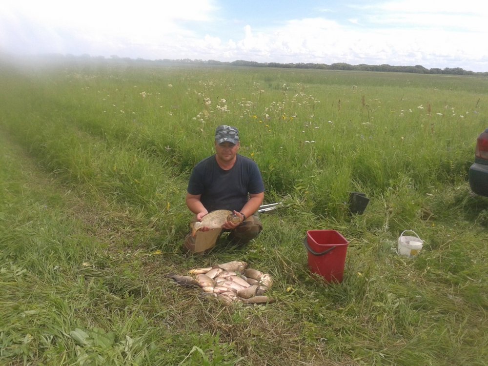 Fishing on the Kargat River (Novosibirsk Region) - Fishing, Zakidushka, Corn, Carp, Carp, Kargat, Novosibirsk region