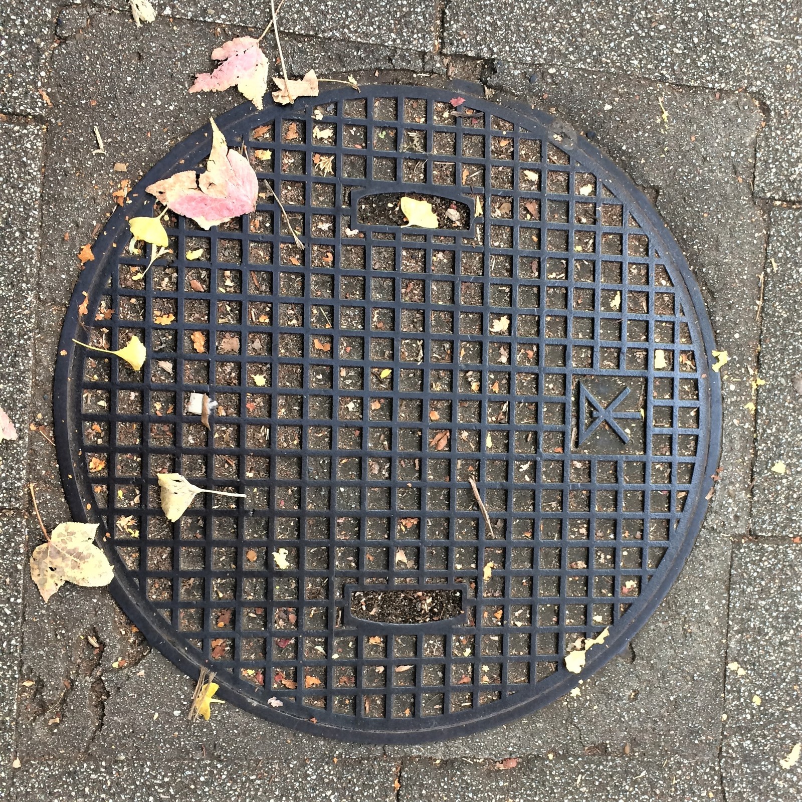 We look under our feet: sewer manholes of Japan - My, Japan, Under your feet, ordinary things, Luke, Travels, Osaka, Kyoto, Longpost