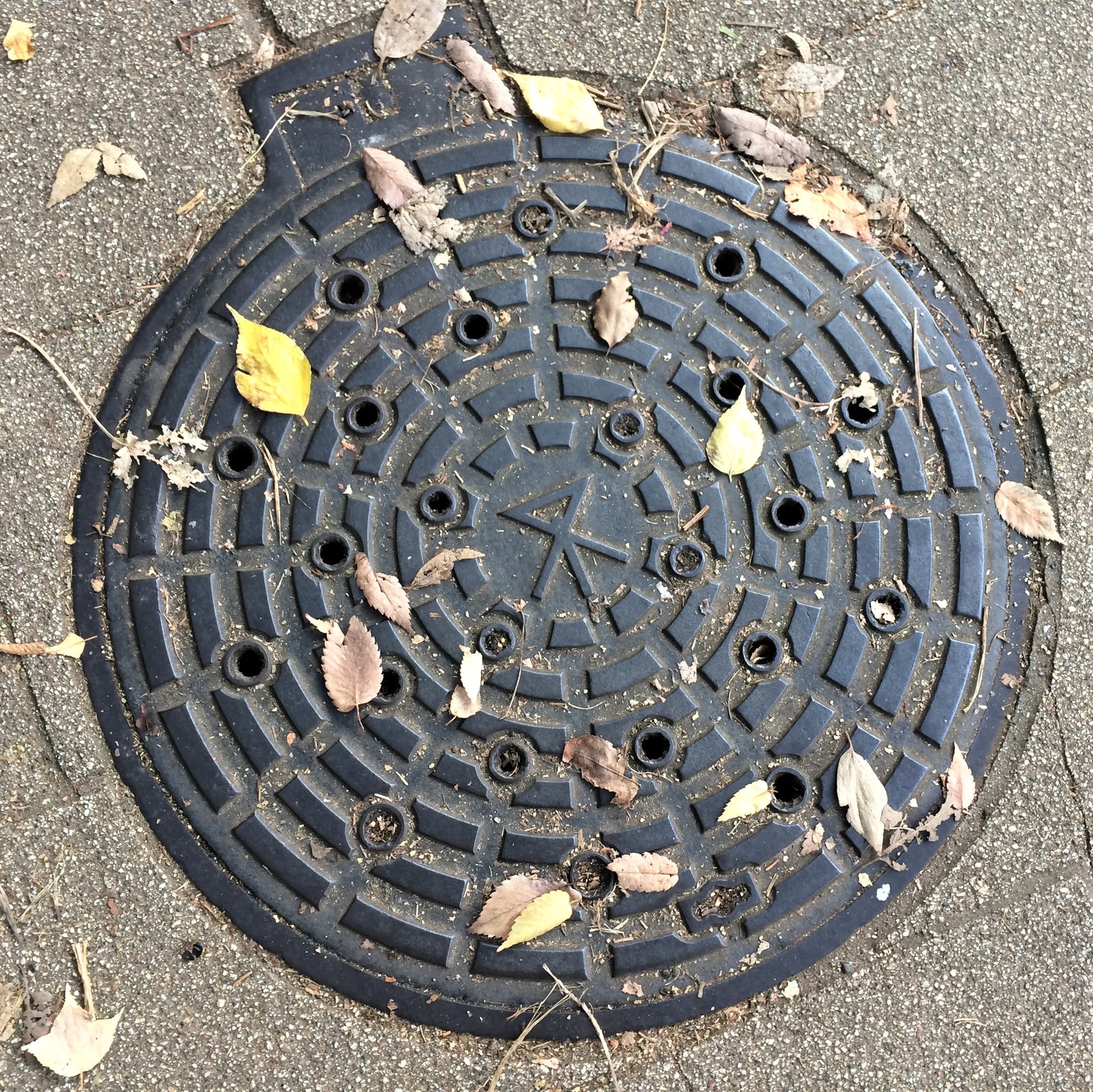 We look under our feet: sewer manholes of Japan - My, Japan, Under your feet, ordinary things, Luke, Travels, Osaka, Kyoto, Longpost