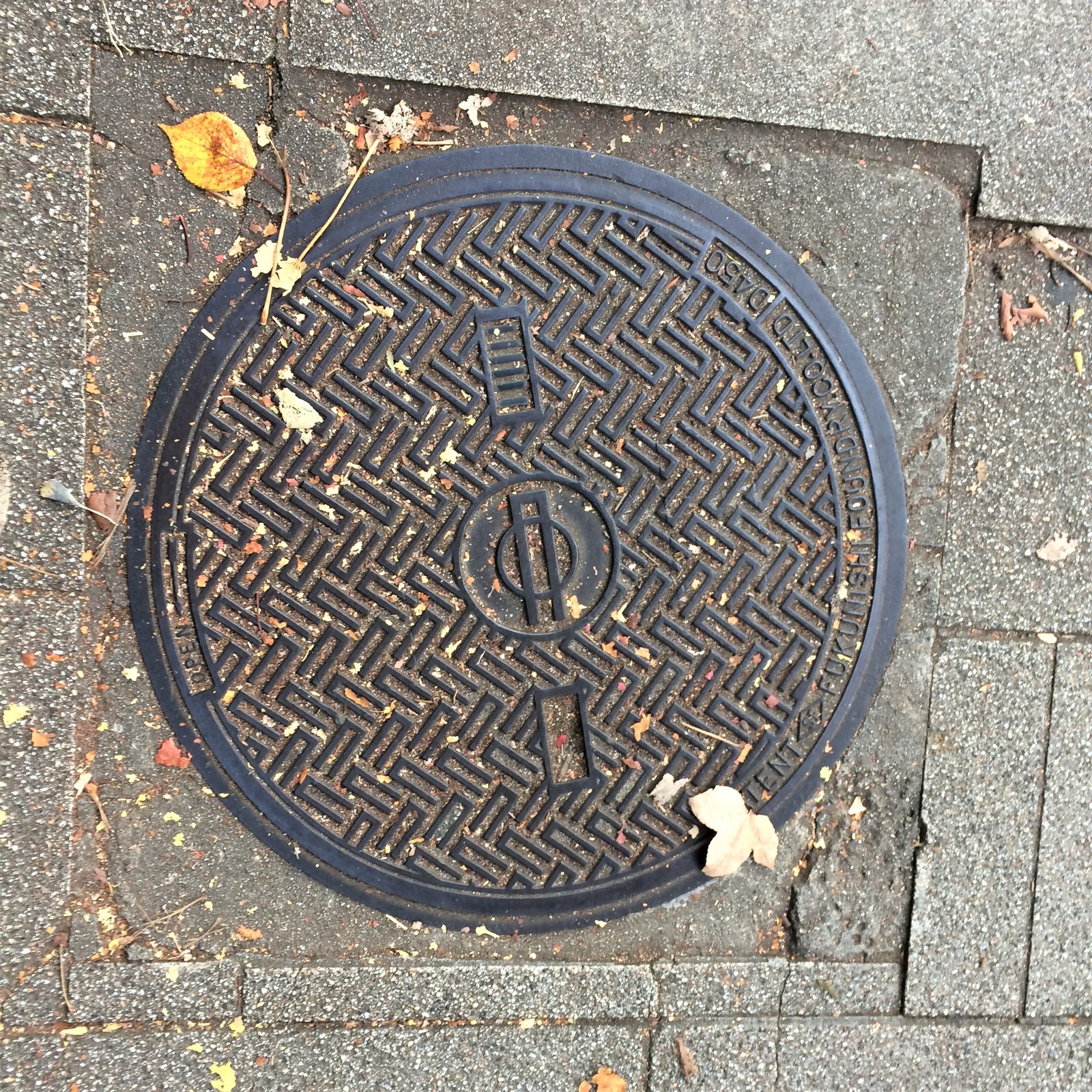 We look under our feet: sewer manholes of Japan - My, Japan, Under your feet, ordinary things, Luke, Travels, Osaka, Kyoto, Longpost