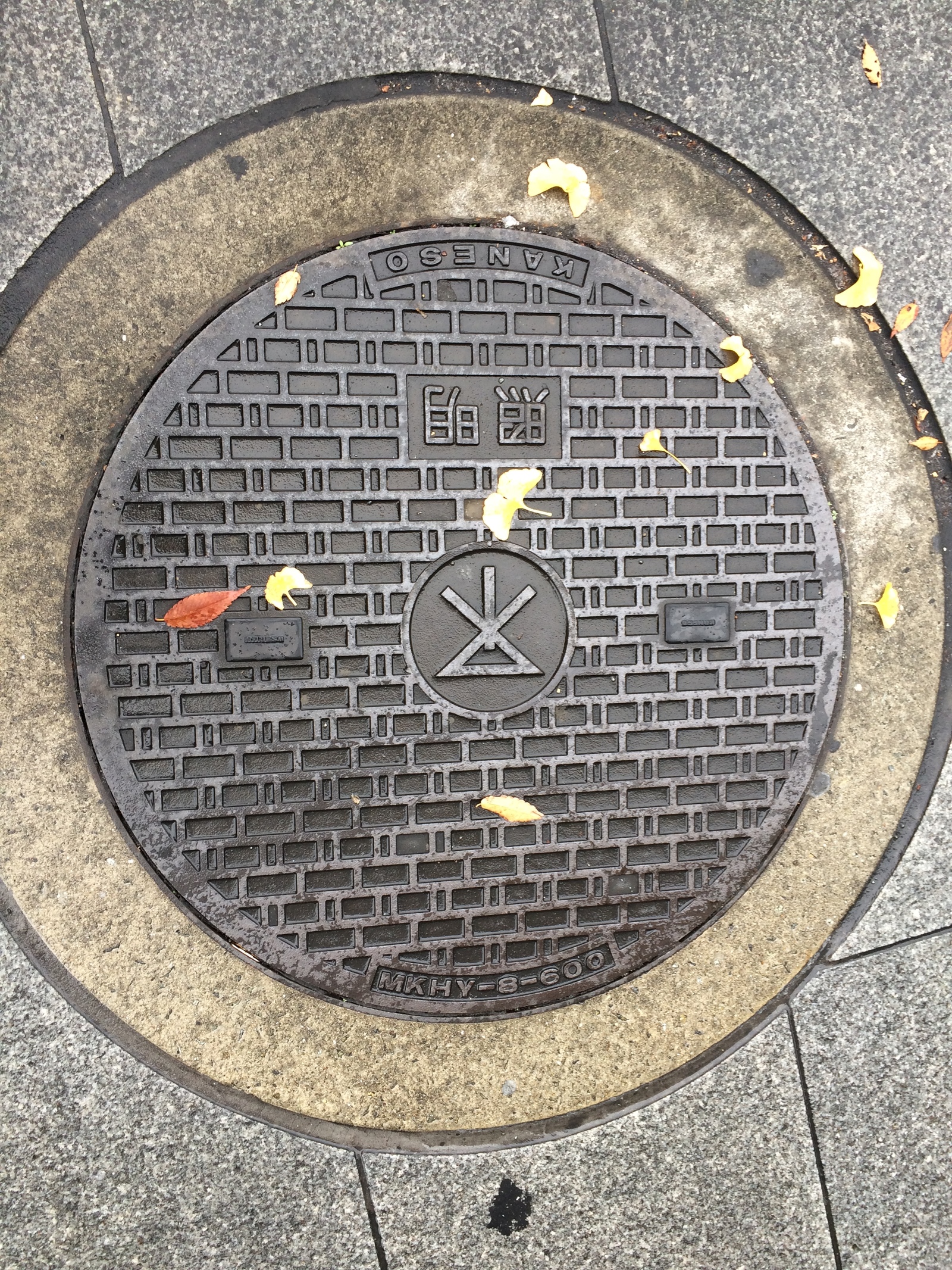 We look under our feet: sewer manholes of Japan - My, Japan, Under your feet, ordinary things, Luke, Travels, Osaka, Kyoto, Longpost