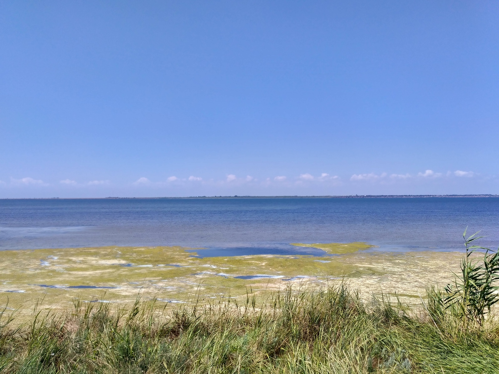 The village of Lebedevka, Odessa region. July 2017 - My, Sea, , Odessa region, Longpost