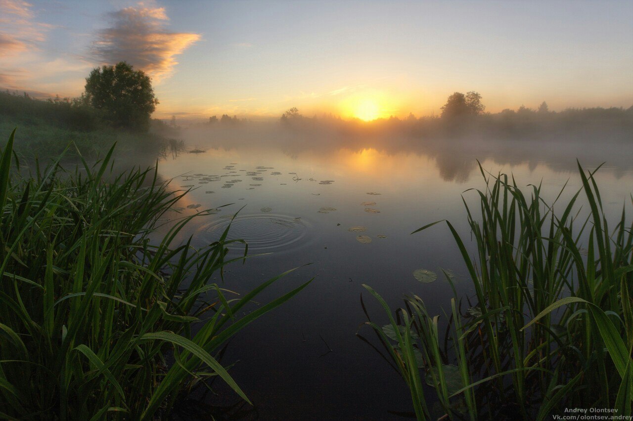 Dubna - Summer, 2017, Dubna, Moscow region, The photo, Nature, Landscape, A boat, Longpost