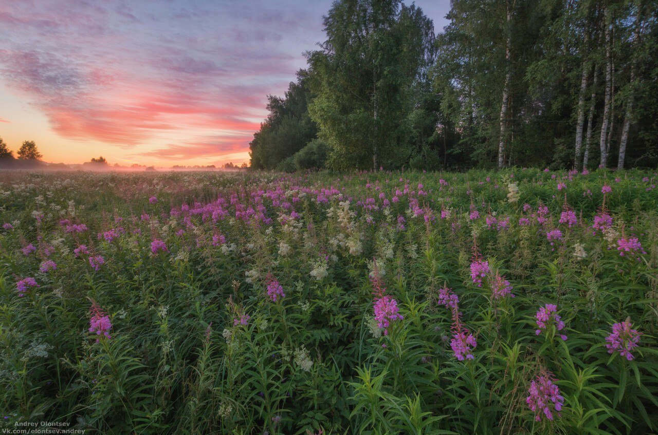 Dubna - Summer, 2017, Dubna, Moscow region, The photo, Nature, Landscape, A boat, Longpost