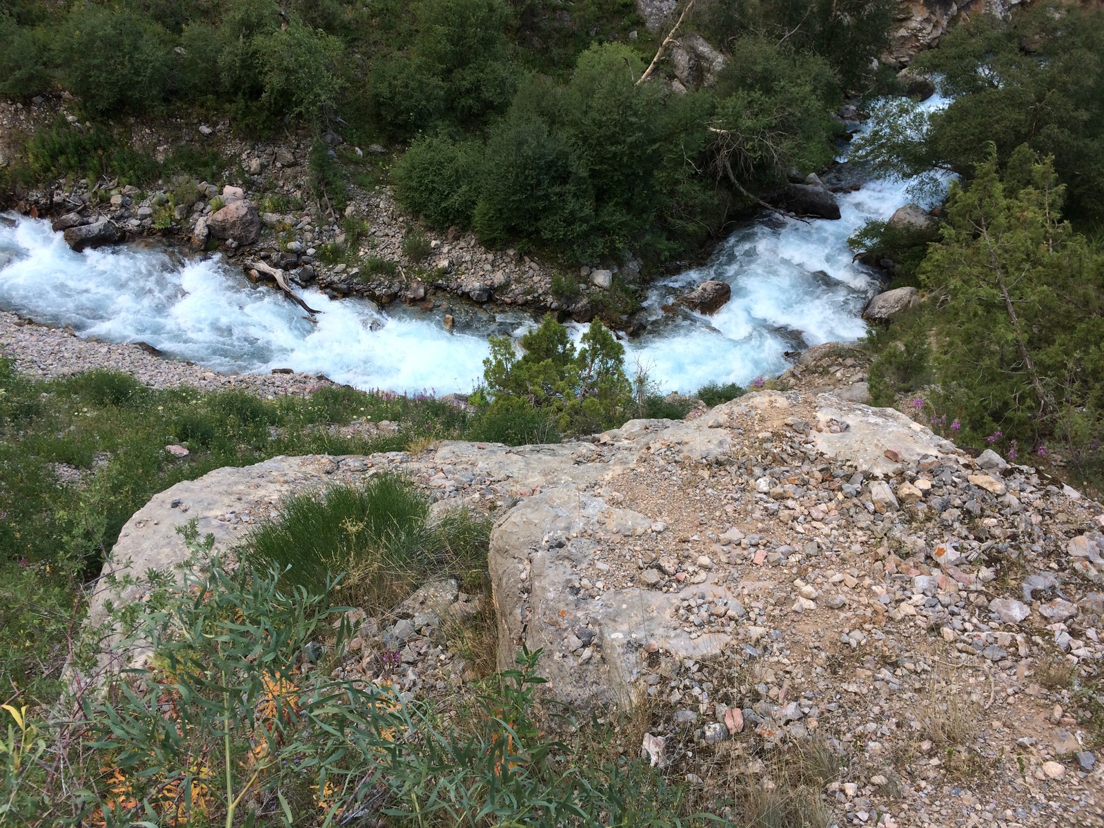 Hiking in the mountains in the Sairam-Ugam reserve. - My, Hike, The mountains, , Longpost, Tag