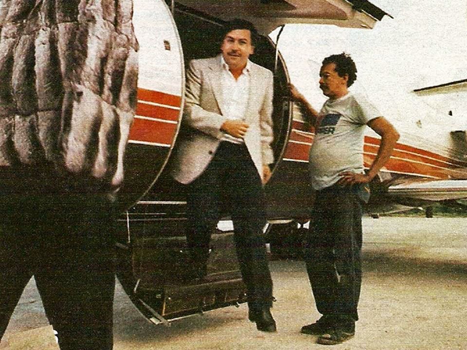 10 Crazy Facts About The Cocaine King's Even Crazier Money - Longpost, Pablo Escobar, Money, Cocaine, Drugs, Crime, Drug cartel