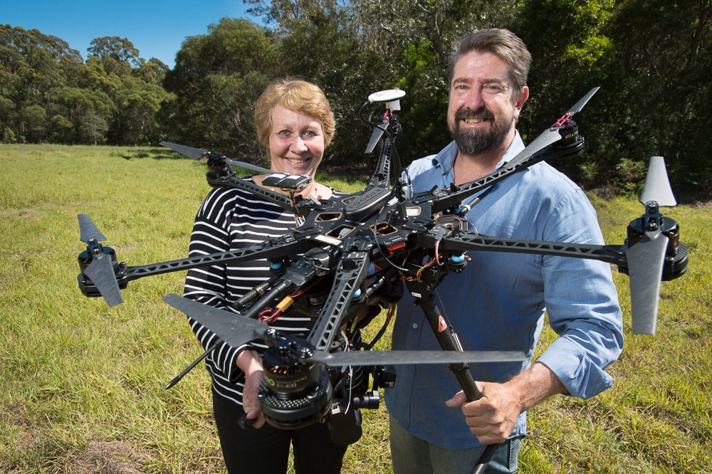 Bodyguard drones guarding koalas - Ecology, news, The photo, Interesting, Animals, Nature, Milota, Longpost