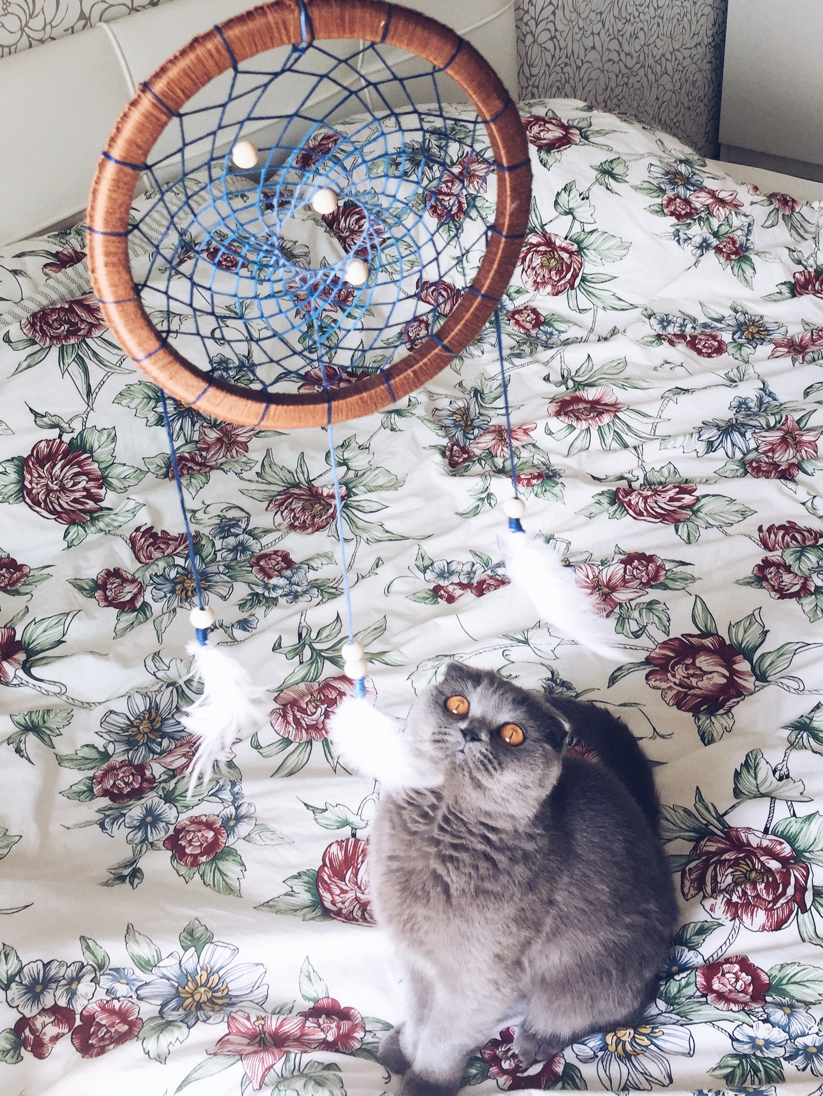 Judging by the eyes of the cat, the catcher will not live very long. - My, cat, Dreamcatcher, Margosha, With your own hands