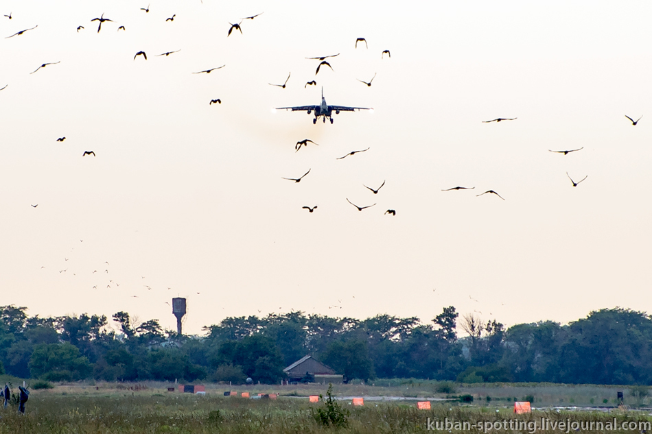 Rooks over the sea. - Aviation, Teachings, Air force, Vks, Su-25, Longpost