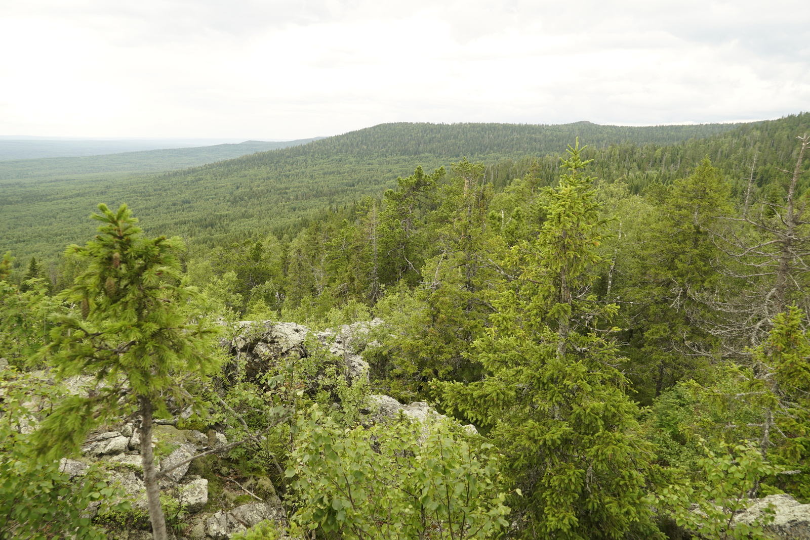 Visimsky Reserve - My, , Reserve, Nature, Travels, Ural, Sverdlovsk region, Tourism, Longpost, Reserves and sanctuaries