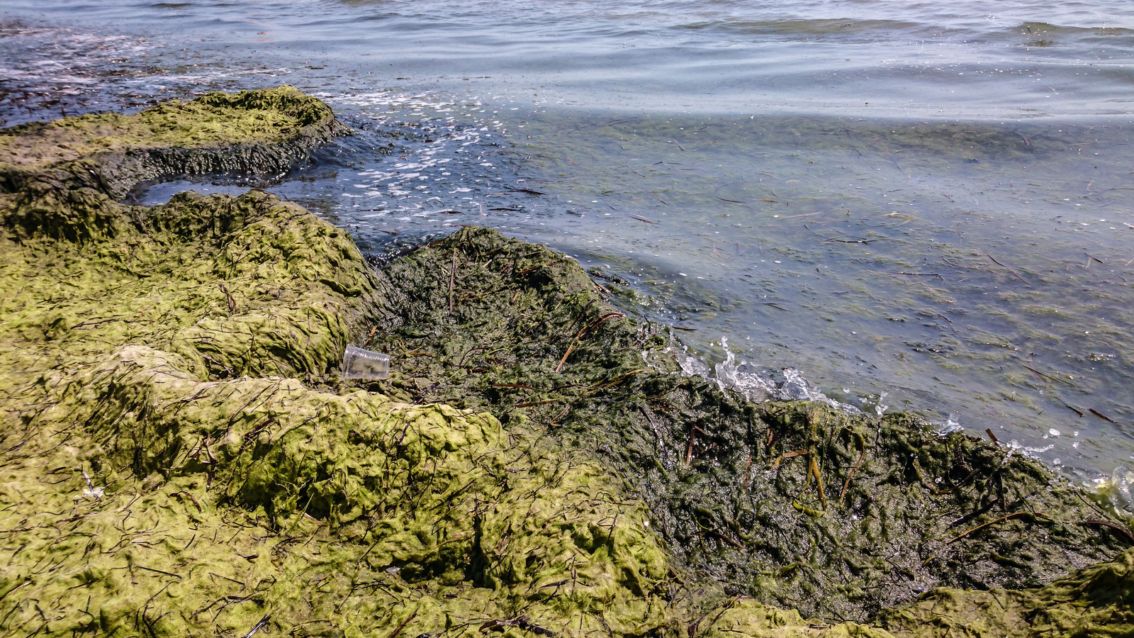 You are near the sea. Long post on the floor of the bump. - My, Black Sea, Relaxation, Hiking, Tourism, iron Port, Longpost