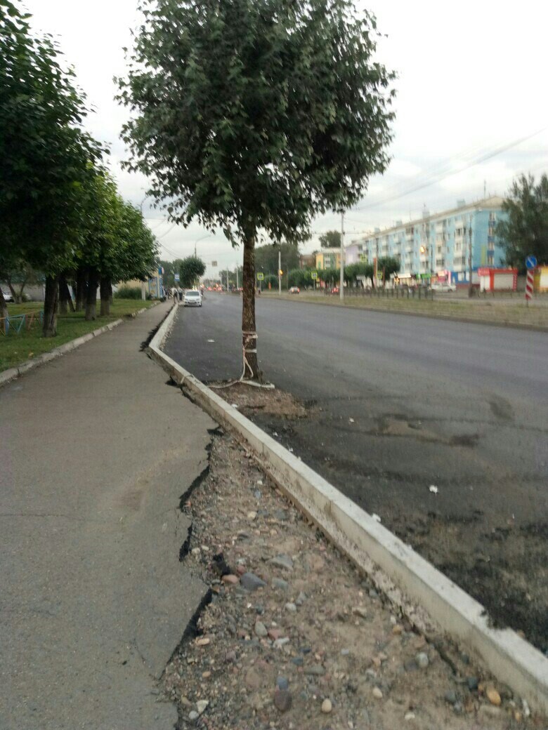 Briefly about the repair of roads in Krasnoyarsk - My, Krasnoyarsk, Road, Road repair, Tree