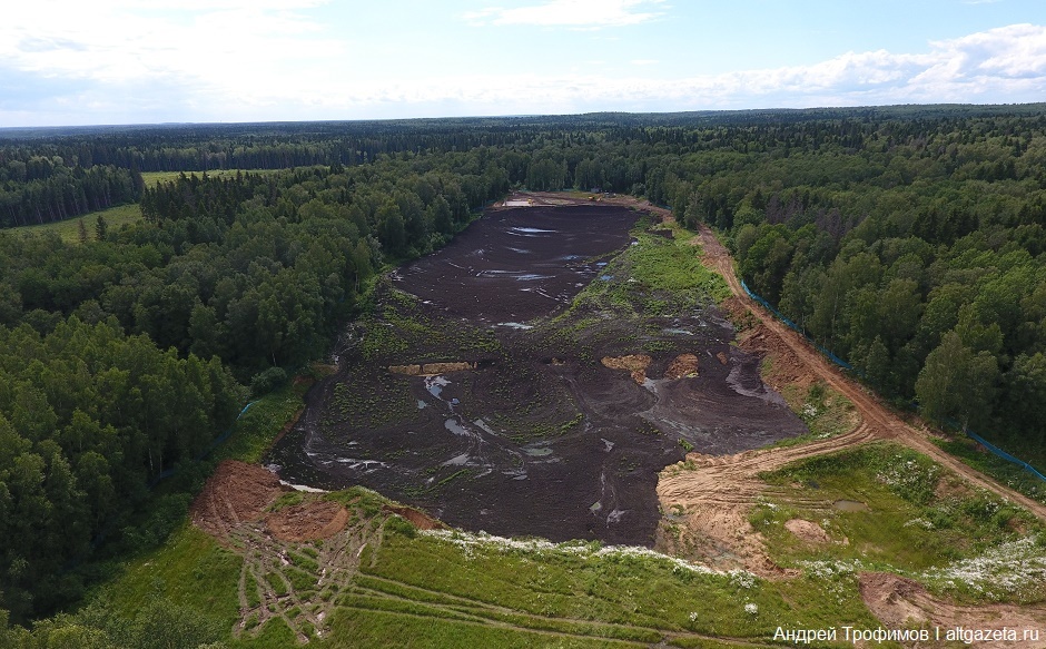 Year of Ecology in Sergiev Posad District - Ecology, Sergiev Posad, Silt, Career, Video, Longpost