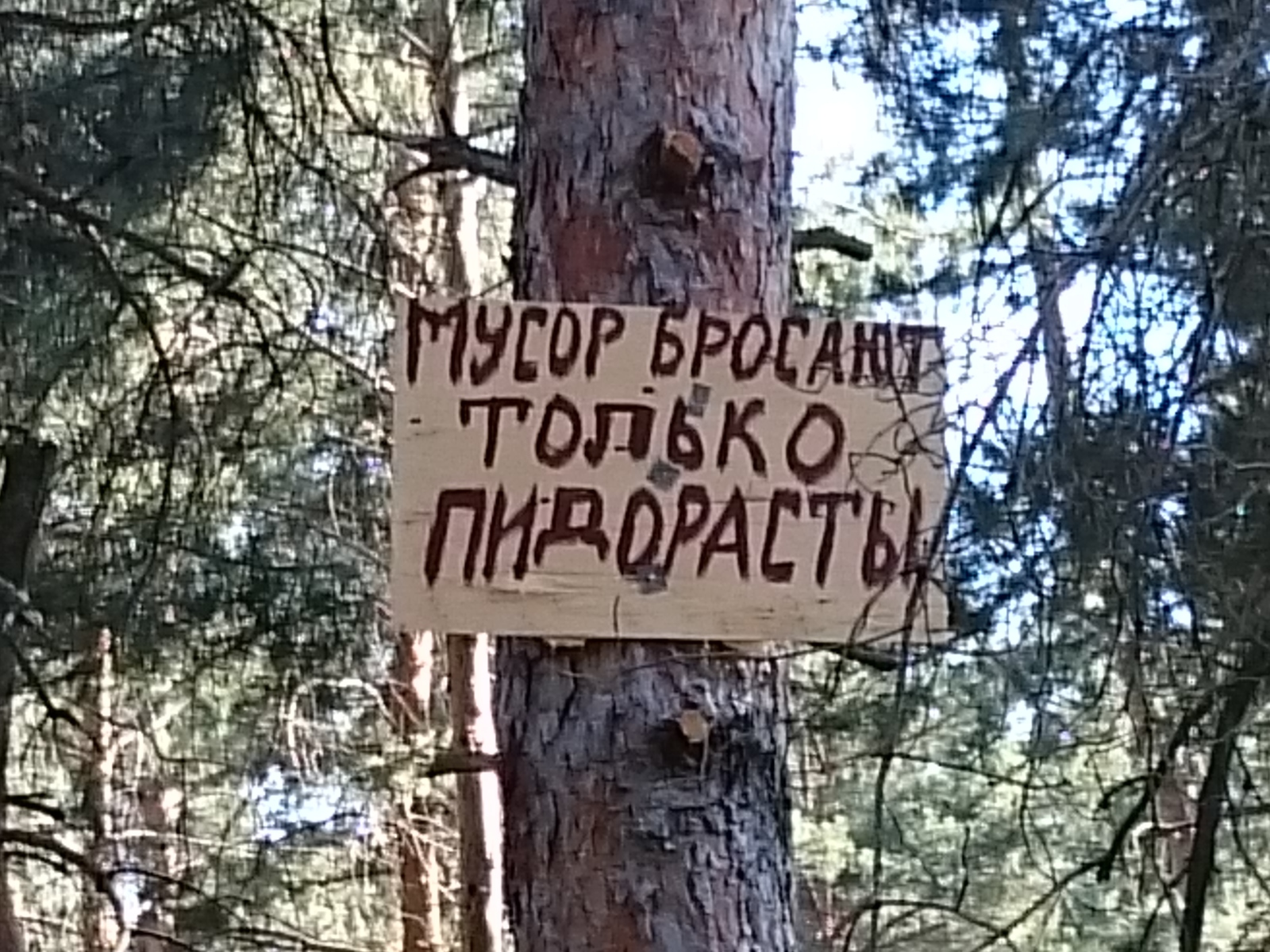 An intelligible explanation why you should not litter - My, Humor, Announcement, Don't litter!, Dacha