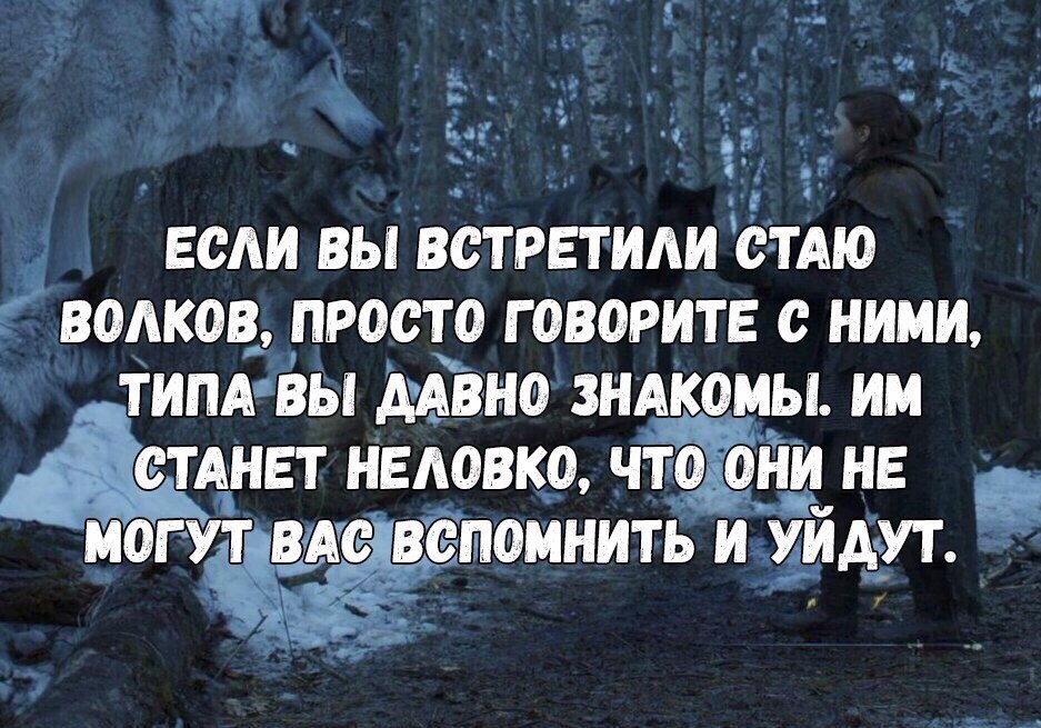 Если вы встретили стаю волков - Игра престолов, Игра престолов 7 сезон, Спойлер, Арья Старк, Нимерия, Лайфхак