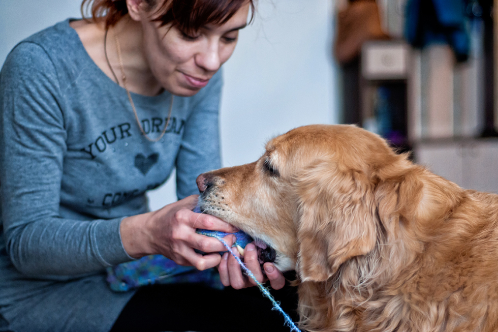 How to skydive to the touch and go to the mountains with a guide dog - Blind, Guide-dog, Longpost, The blind