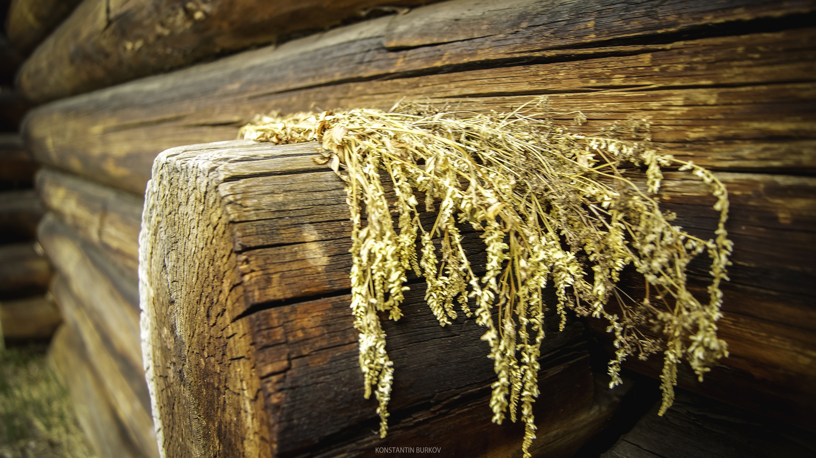 Музей "Тальцы". Иркутск. | Пикабу