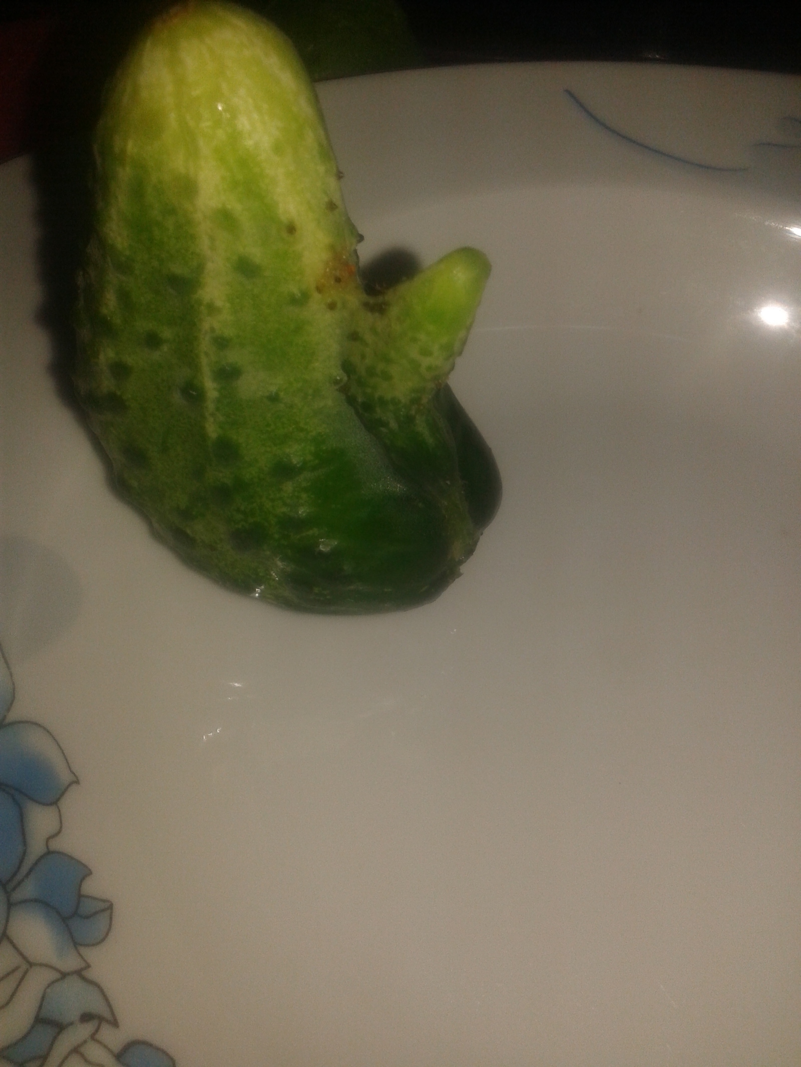 Well done cucumber! - My, A real man, Cucumbers, Tomatoes