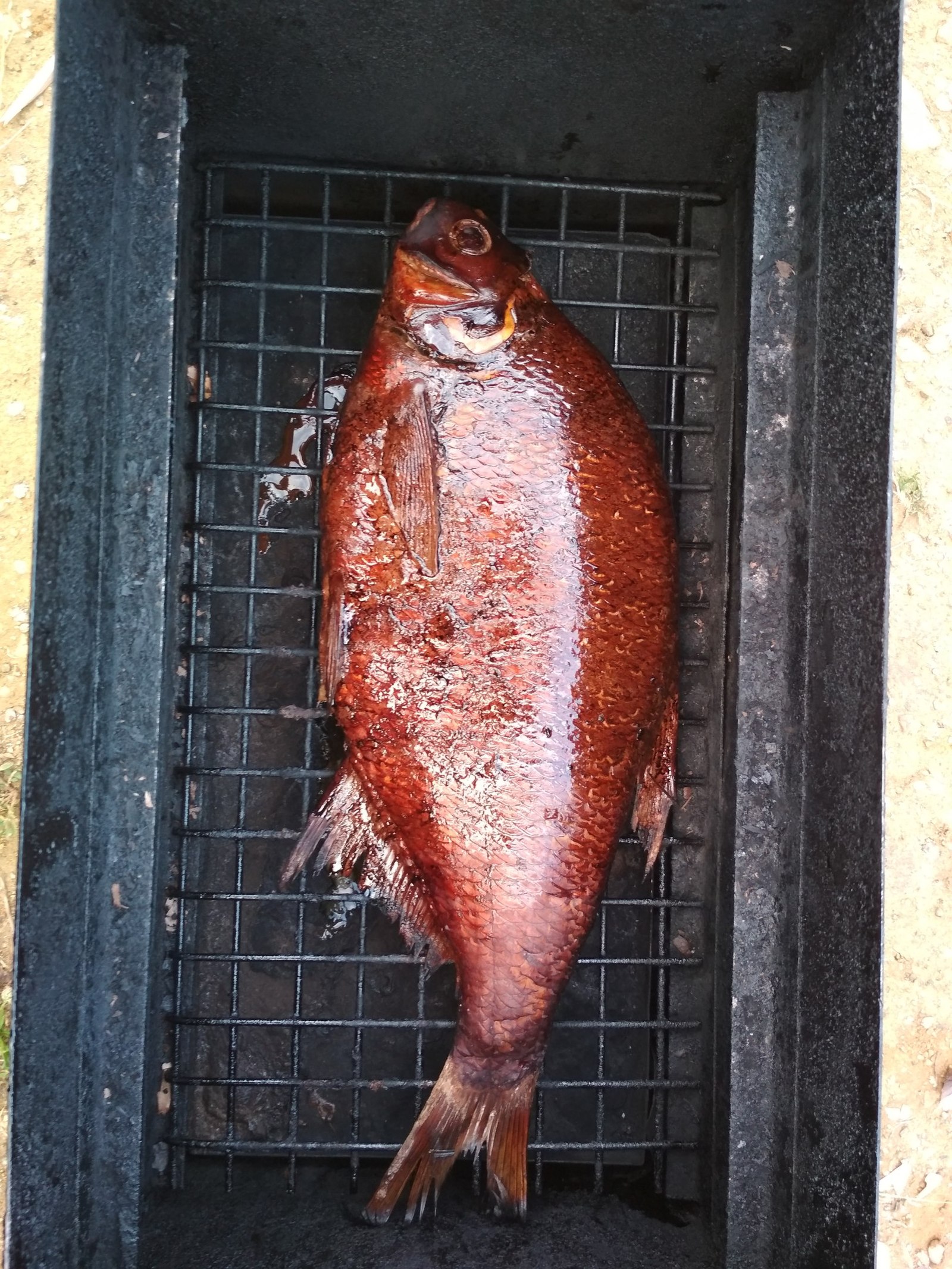 Handsome grandfather! - Fishing, Bream, Yummy, The photo, Longpost