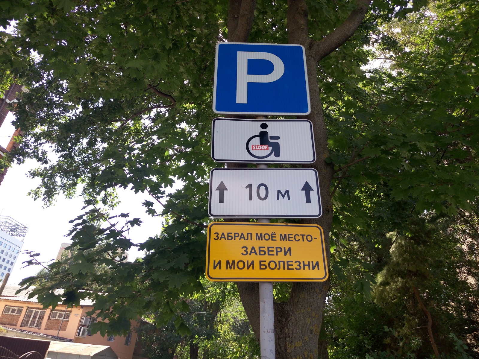 Parking in Rostov - My, Parking, Rostov-on-Don