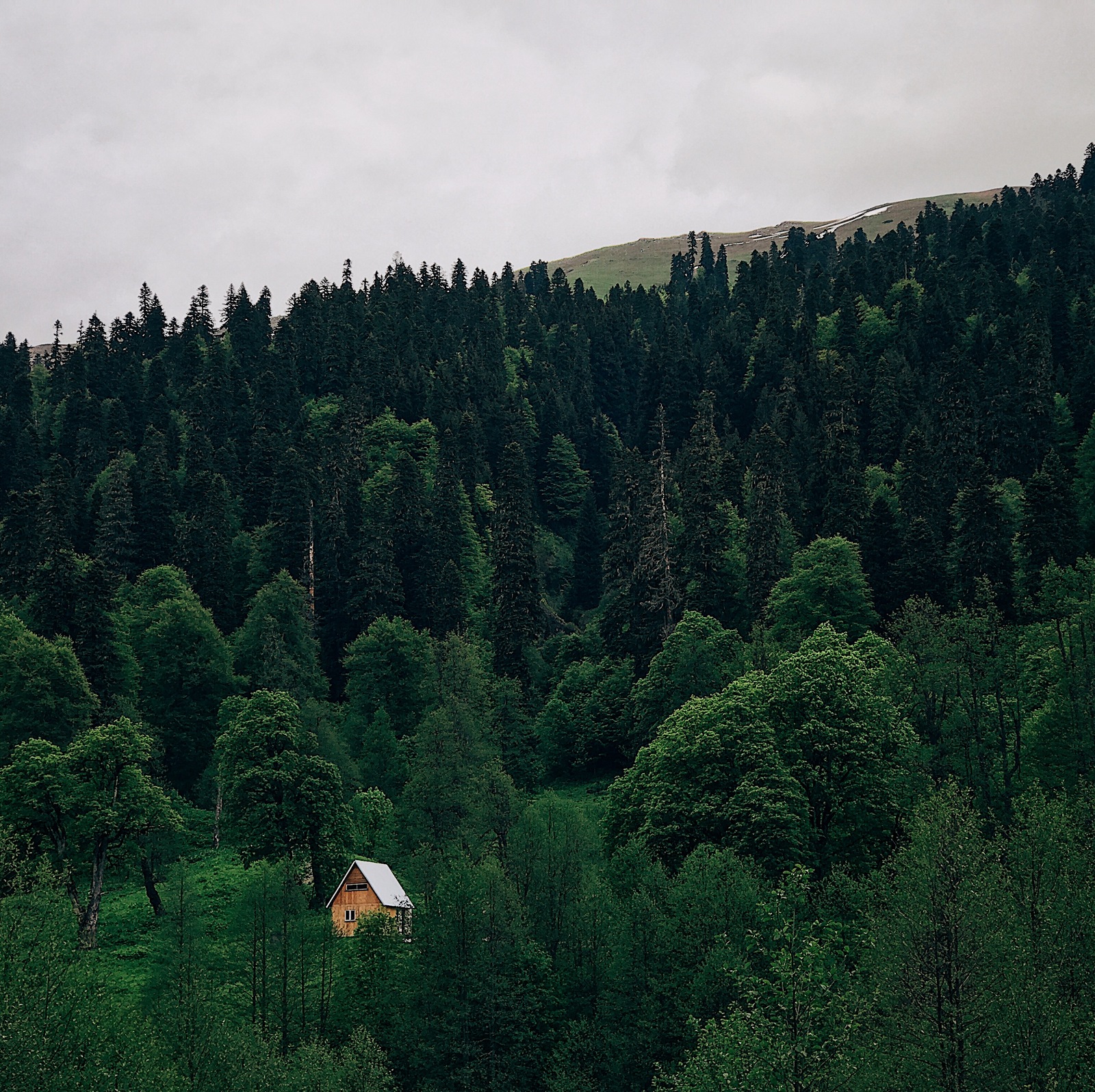 Abkhazia is a country of contrasts. - My, Abkhazia, Tent, Longpost