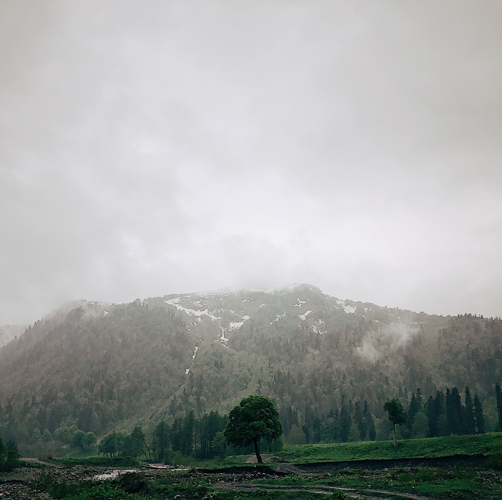 Abkhazia is a country of contrasts. - My, Abkhazia, Tent, Longpost