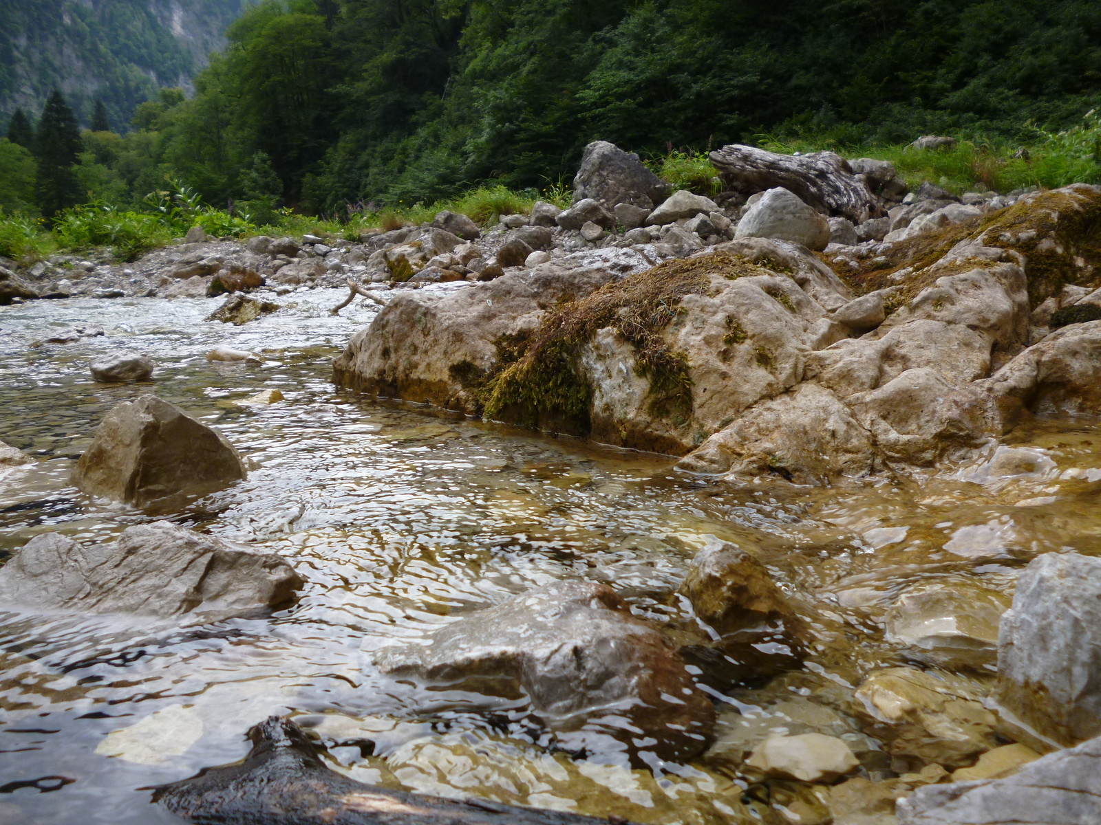 On the wave of posts about Abkhazia - My, My, Relaxation, Abkhazia, Nature, The photo, Longpost