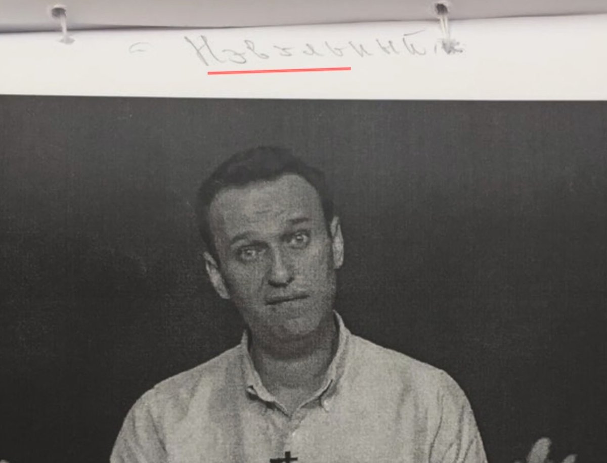 Photos of Navalny in the case file in court are signed NEVELNY - Alexey Navalny, Documentation