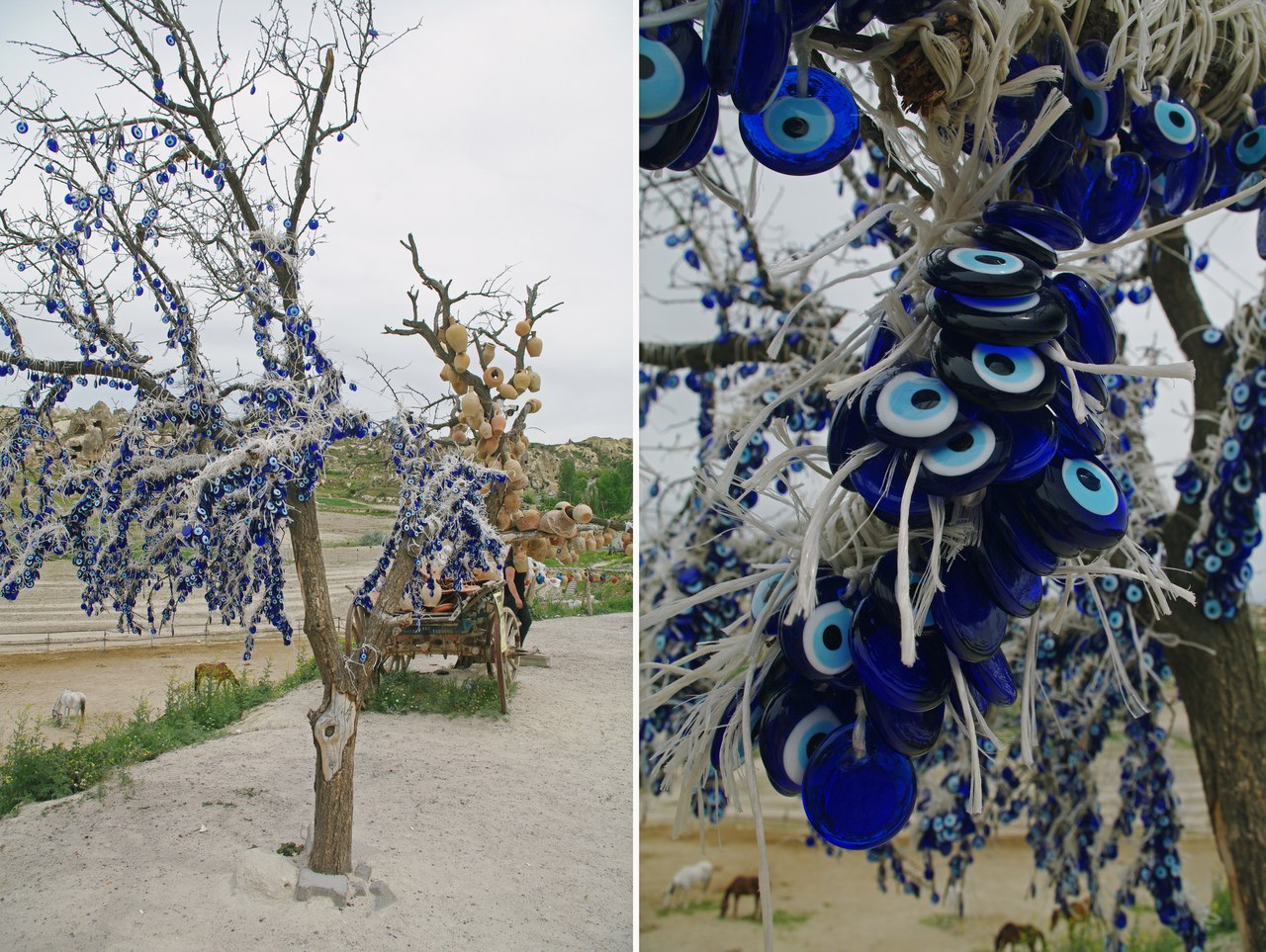 Cappadocia details. - My, Turkey, Tourism, Cappadocia, Details, Souvenirs, Travels, The photo, Flowers, Longpost