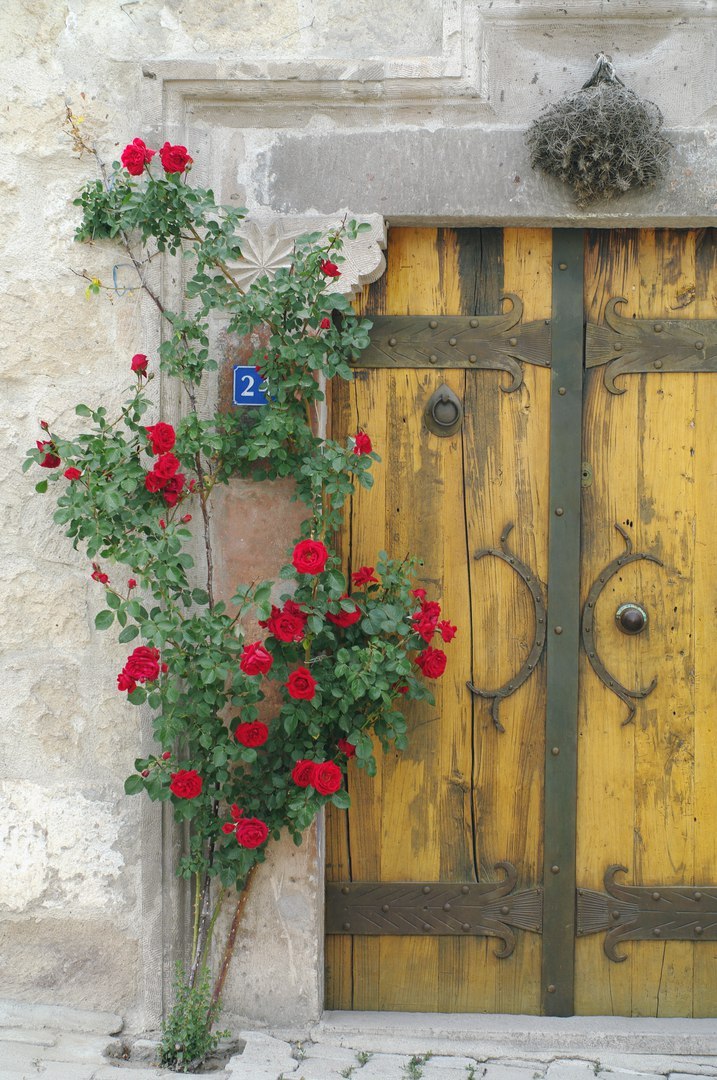 Cappadocia details. - My, Turkey, Tourism, Cappadocia, Details, Souvenirs, Travels, The photo, Flowers, Longpost