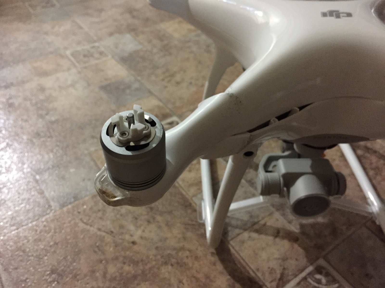 About the Durability of the DJI Phantom 4 - My, DJI Phantom 4, Quadcopter, Crash test, cat, Longpost