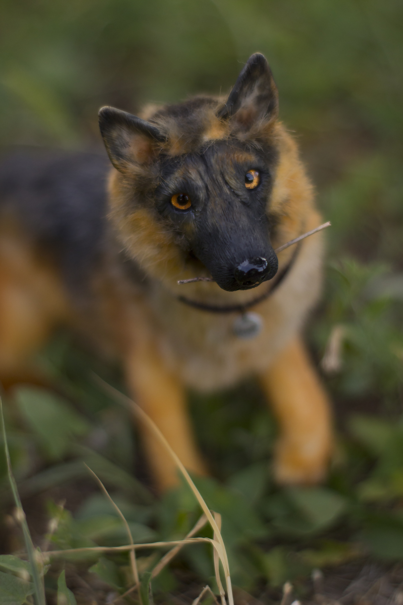 Mini copy of a pet. - My, Handmade, German Shepherd, Dog, Handmade, Polymer clay, Longpost, Needlework without process