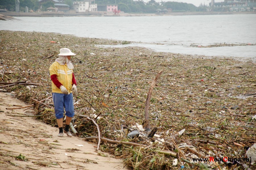 Sea shnyaga - China, Sea, Beach, Garbage, Not mine, Text, Longpost