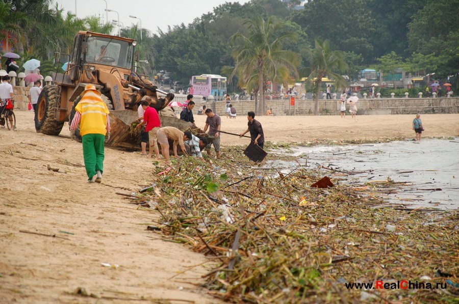 Sea shnyaga - China, Sea, Beach, Garbage, Not mine, Text, Longpost