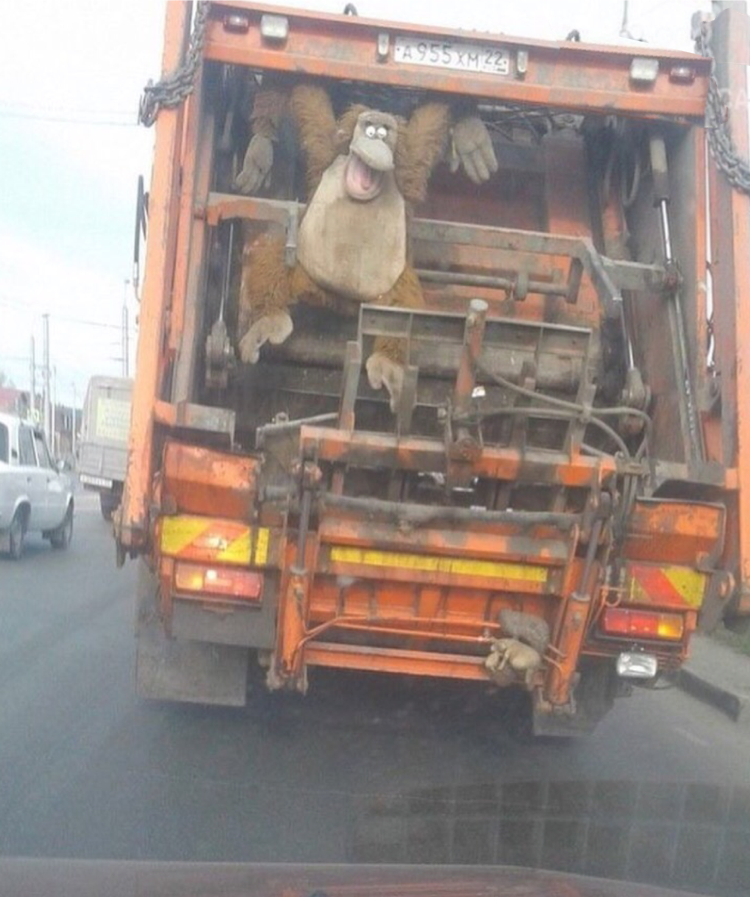 Help, save.. - Monkey, Garbage truck