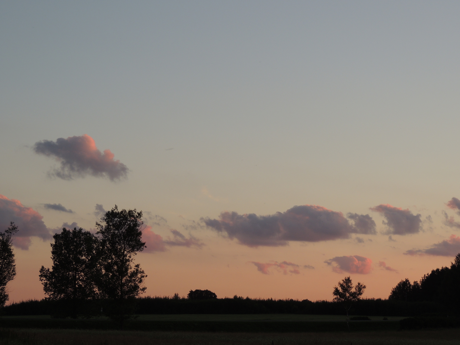 Belarusian outback #2 - My, Nature, Landscape, The photo, Horses, beauty of nature, Longpost