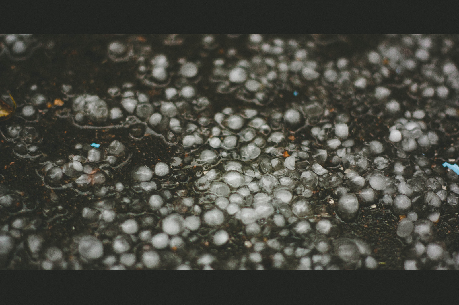 I love Petersburg summer - My, Saint Petersburg, Rain, Hail, Weather, Summer, The photo, Longpost