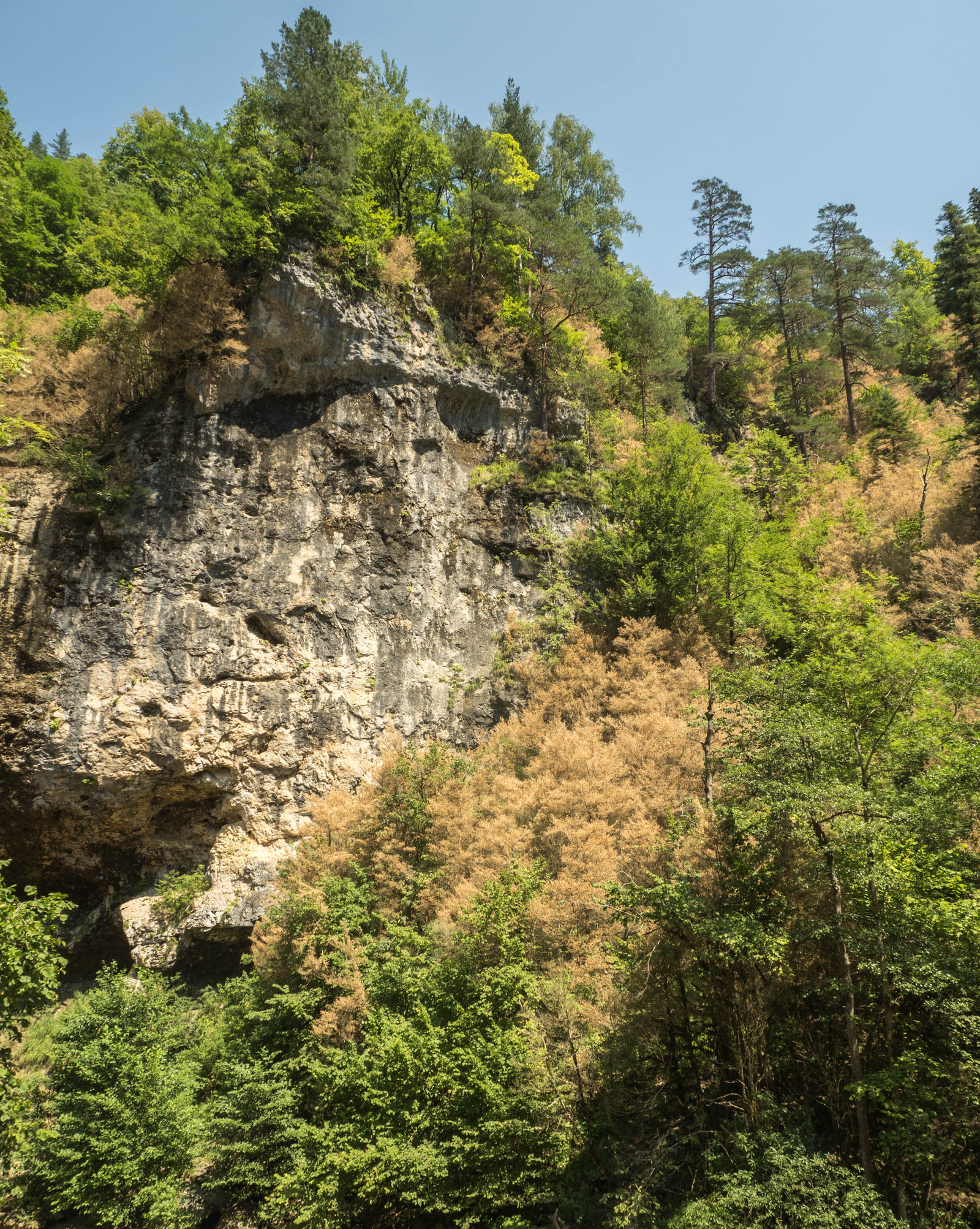 In Guamka - beauty. And sometimes sad... - My, Nature, Краснодарский Край, Guamca, Pests, The mountains, Longpost