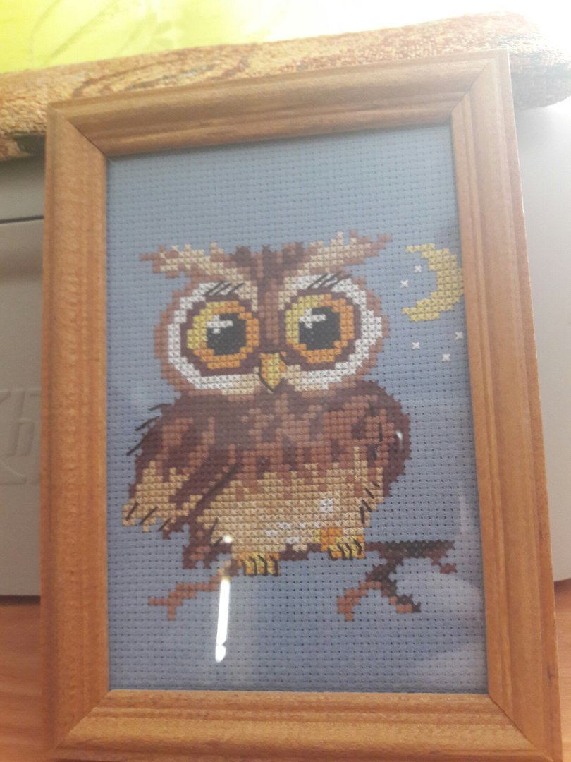 I love owls and embroidery. :3 - Embroidery, Cross-stitch, Owl, Longpost