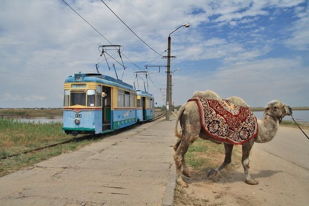 One of the smallest and most unusual tram systems in the world is located in...? - My, Crimea, Russia, Tram