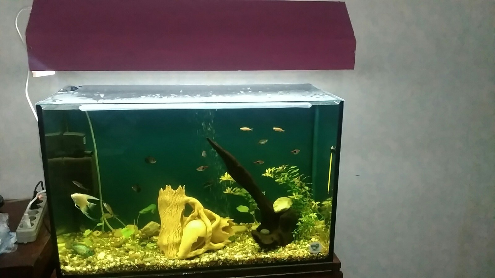 Aquas 150 - My, Aquarium, Aquarium