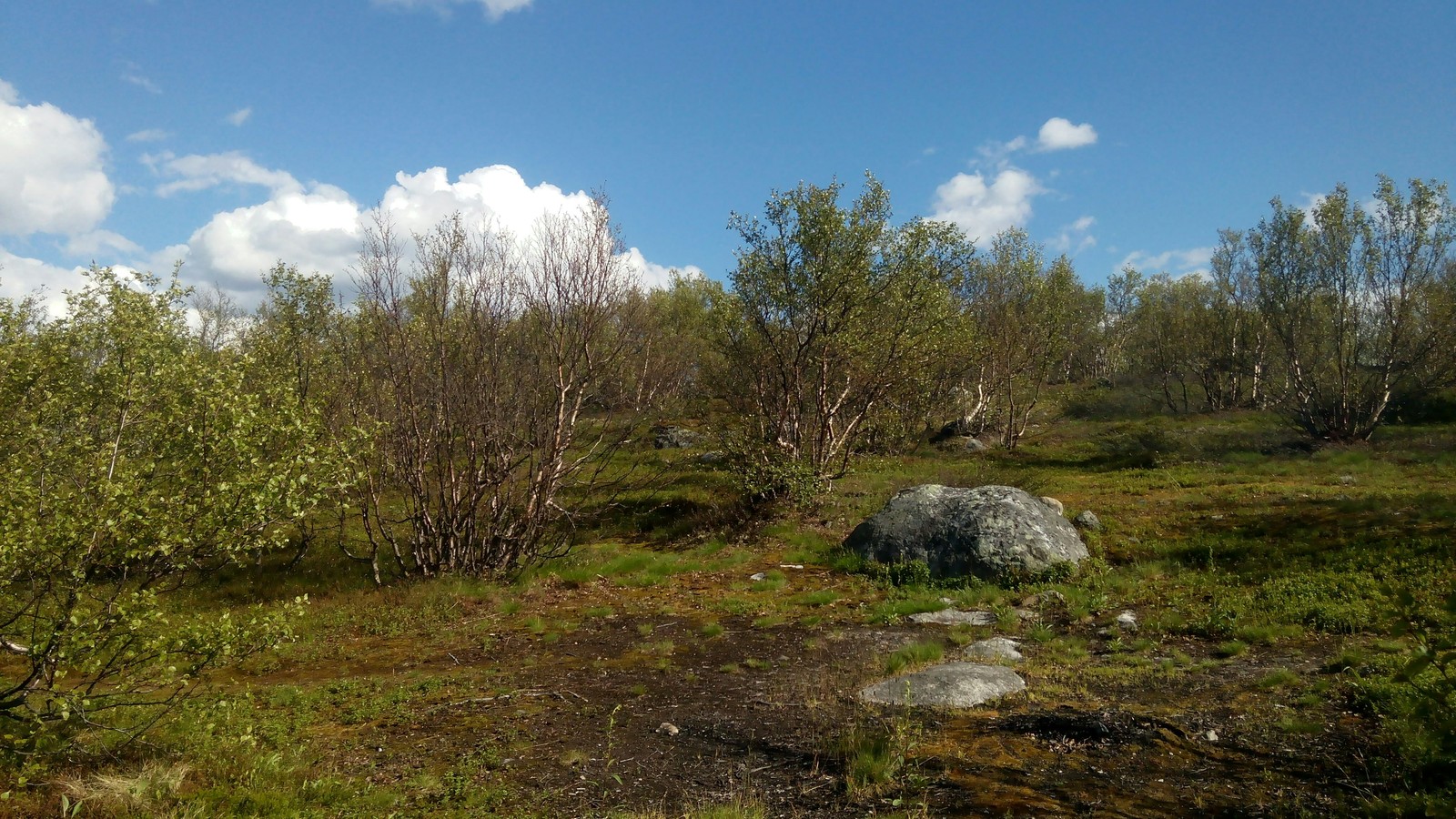 A piece of Vidyayevsky summer - My, Murmansk region, Summer, Hills, Longpost