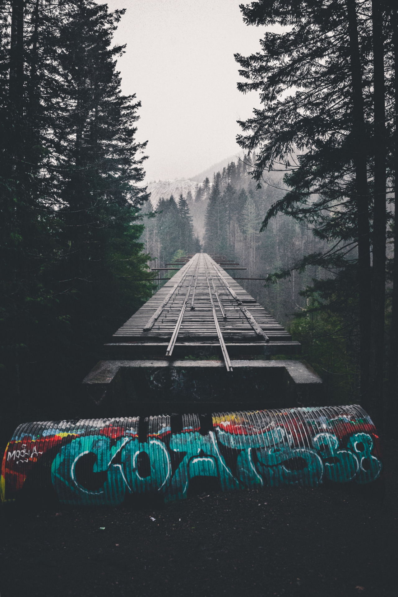 The Vance Creek Bridge - Bridge, Nature, Beautiful view, Lost in Time, Longpost