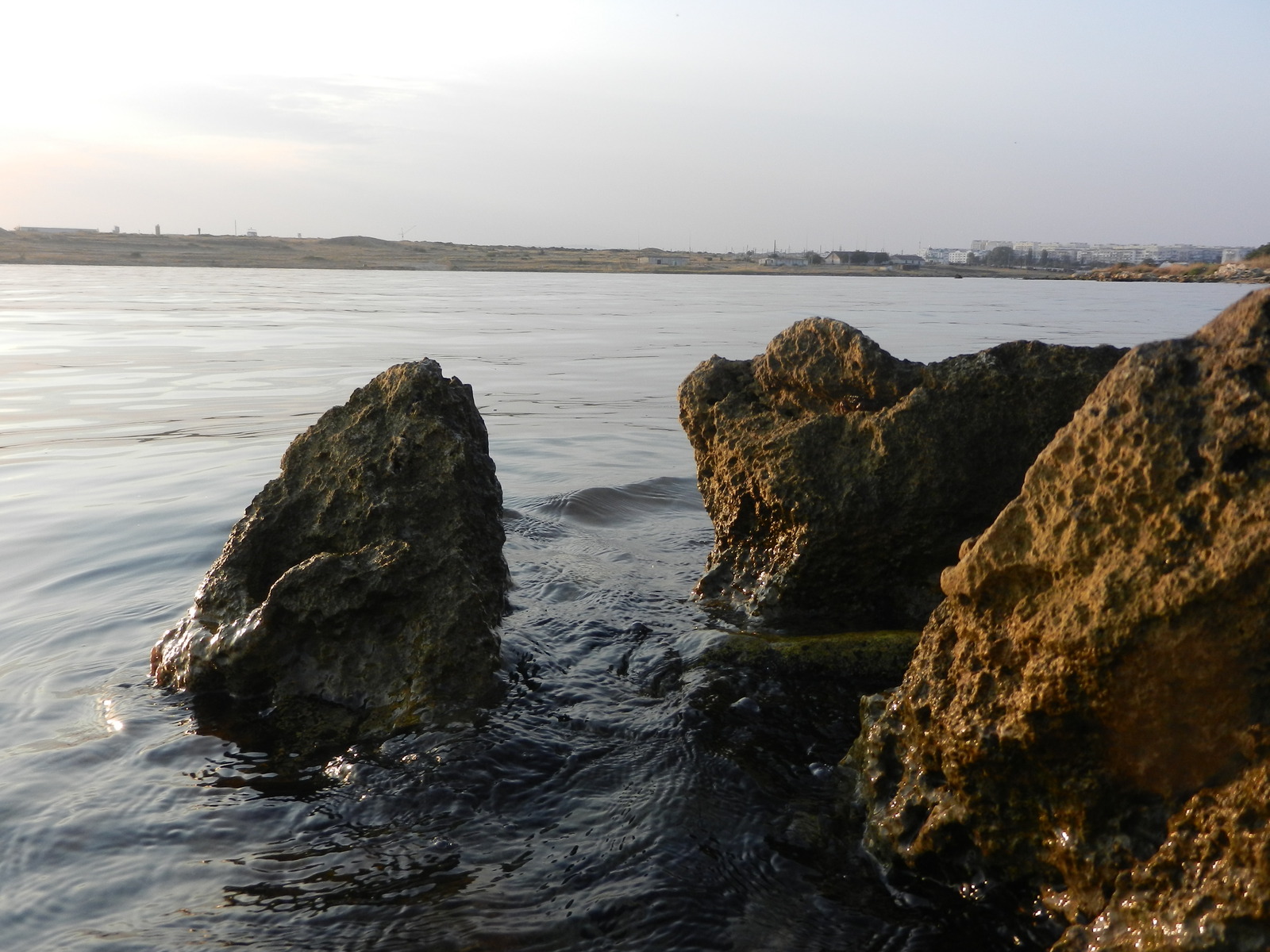 The world of the wild beach is under our feet - My, Beach, Wild beach, Attentiveness, Nature, wildlife, Shore, Sea, Longpost