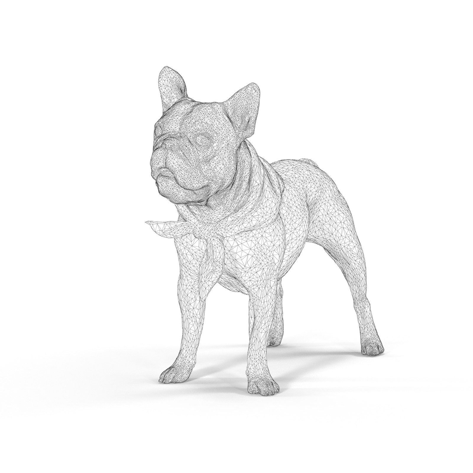 Scanned french bulldog - My, Scanning, 3D Scanner, Dog, Work, Render, 3DS max, Vray, Longpost