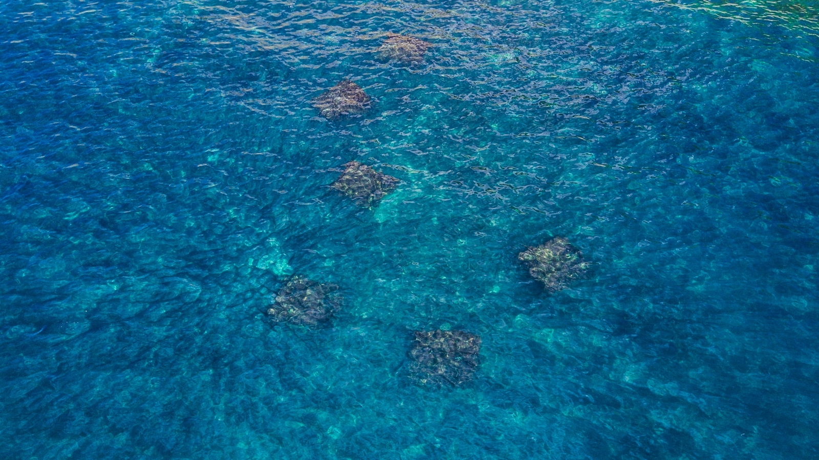 Elemental border. - My, Novorossiysk, Myskhako, Black Sea, Drone, Quadcopter, Aerial photography, Sea, Resorts of the Krasnodar Territory, Longpost