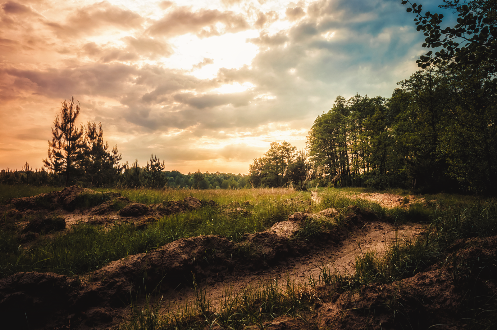 Open spaces - My, Nature, Landscape, Rainbow, Longpost