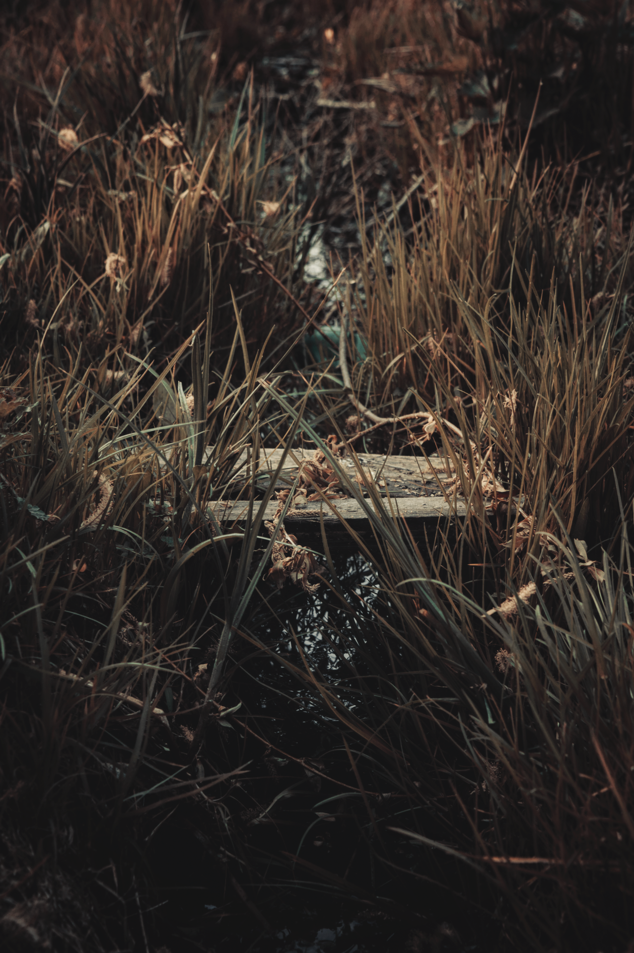 Open spaces - My, Nature, Landscape, Rainbow, Longpost